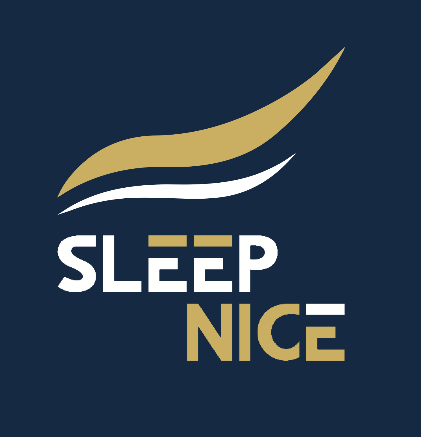 Sleep Nice Logo
